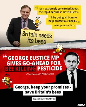 George keep your promises - save Britain's bees avaaz.org/britishbees | Falmouth Packet ad